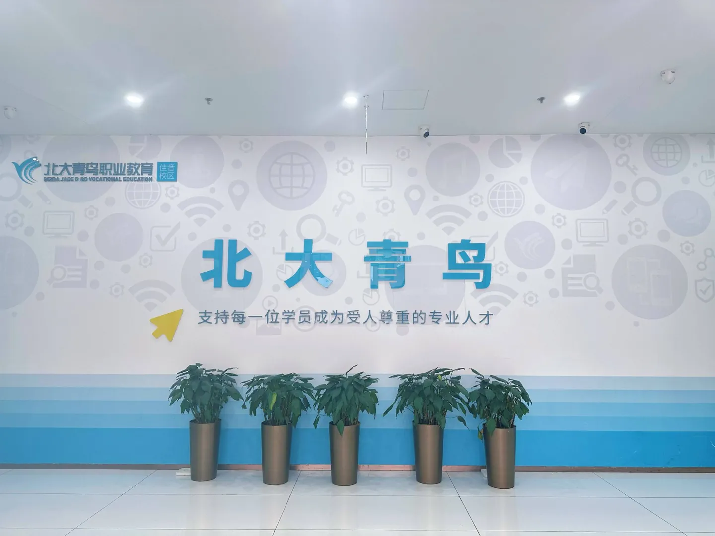 2026年北大青鸟佳音校区收费标准及课程选择指南