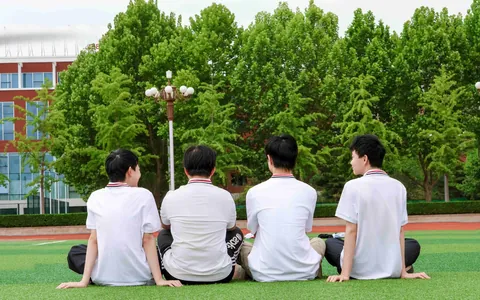 2026年北京北大青鸟学历国家承认吗？权威解答